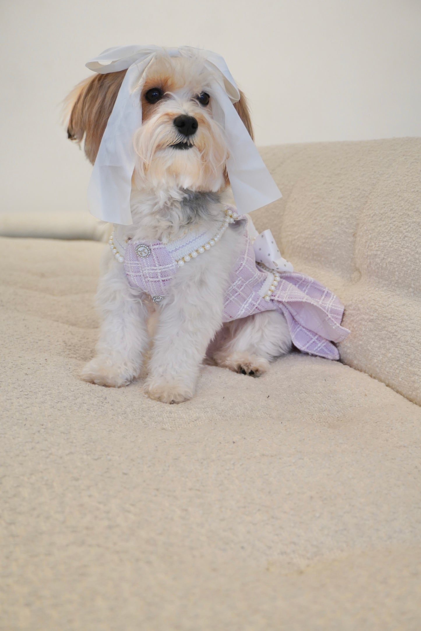 Spring Fling Queen Dress – Gossip Lilac Tweed Dog Dress