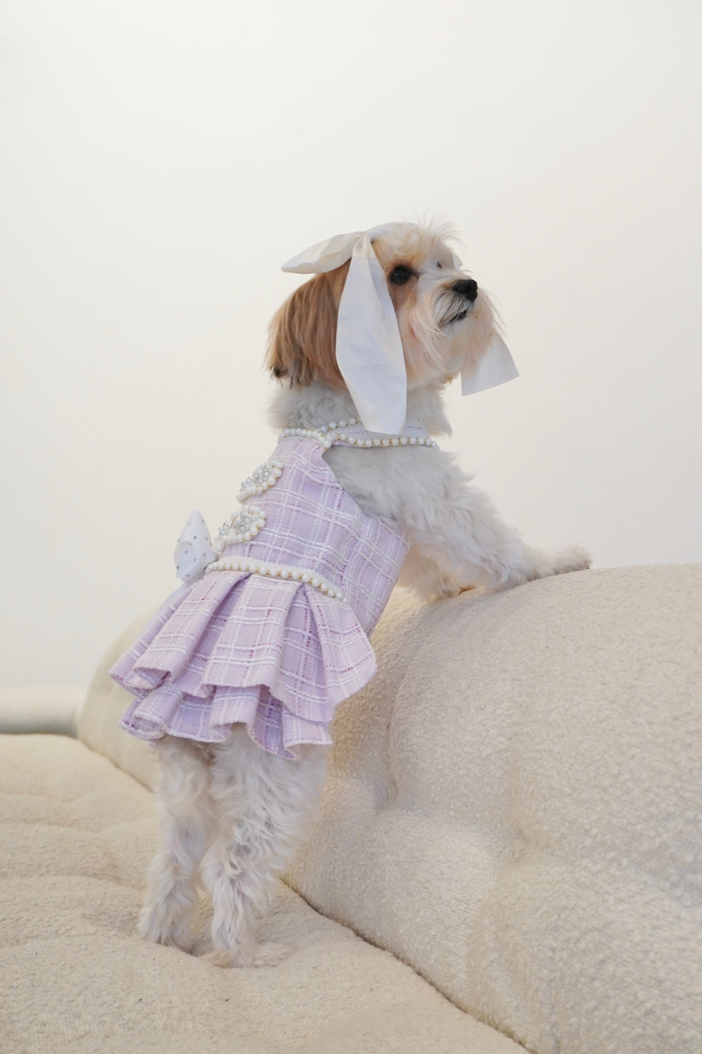 Spring Fling Queen Dress – Gossip Lilac Tweed Dog Dress