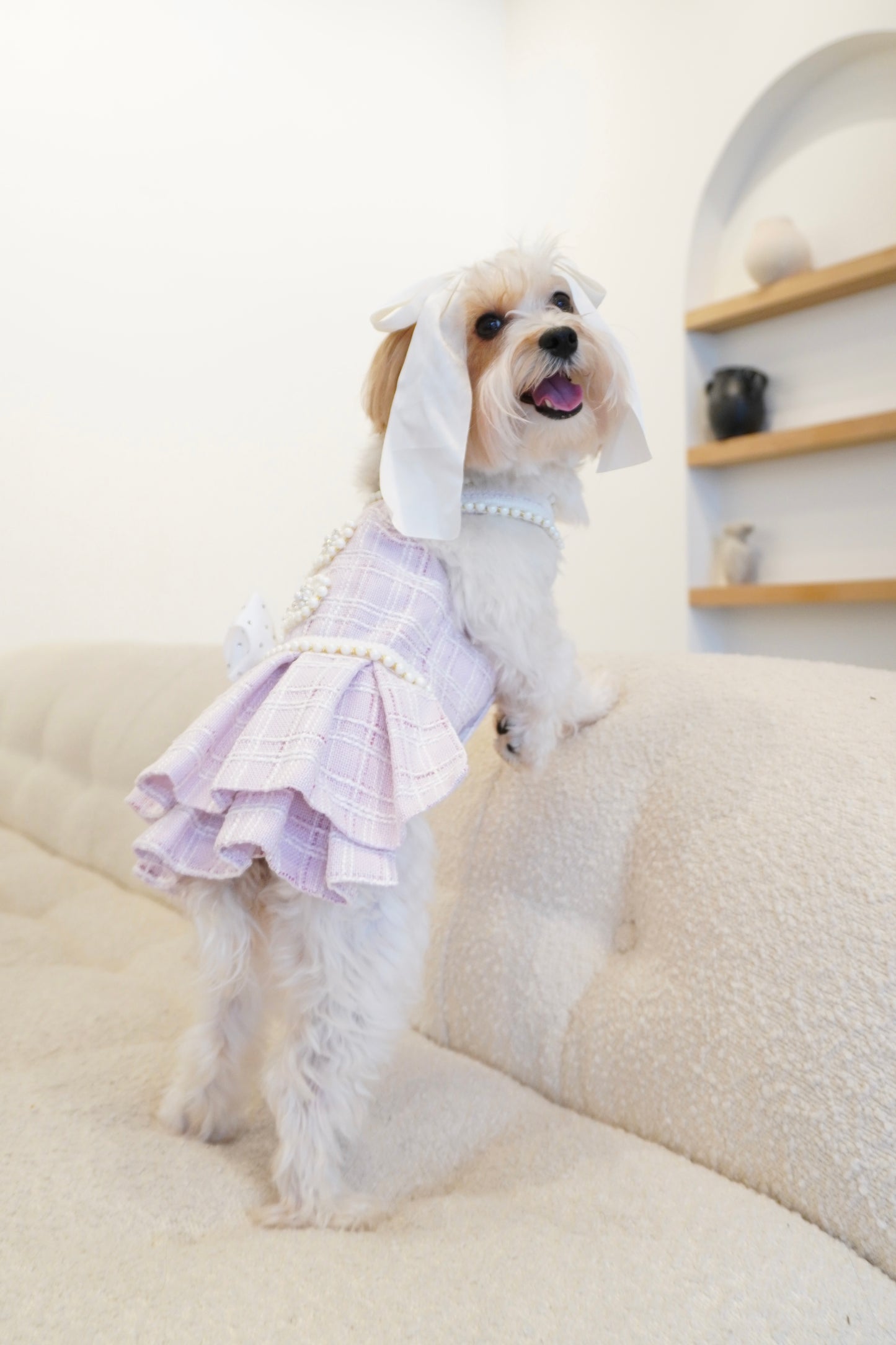 Spring Fling Queen Dress – Gossip Lilac Tweed Dog Dress