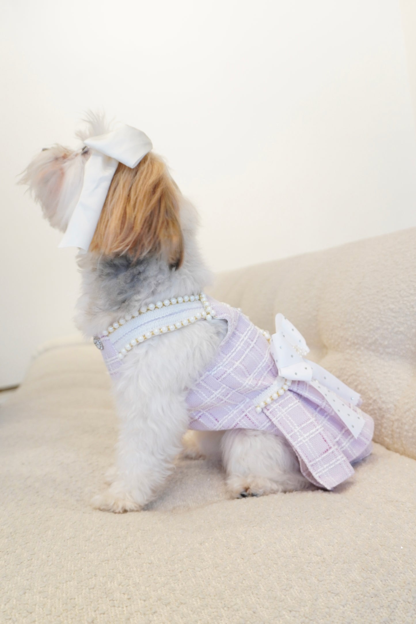 Spring Fling Queen Dress – Gossip Lilac Tweed Dog Dress