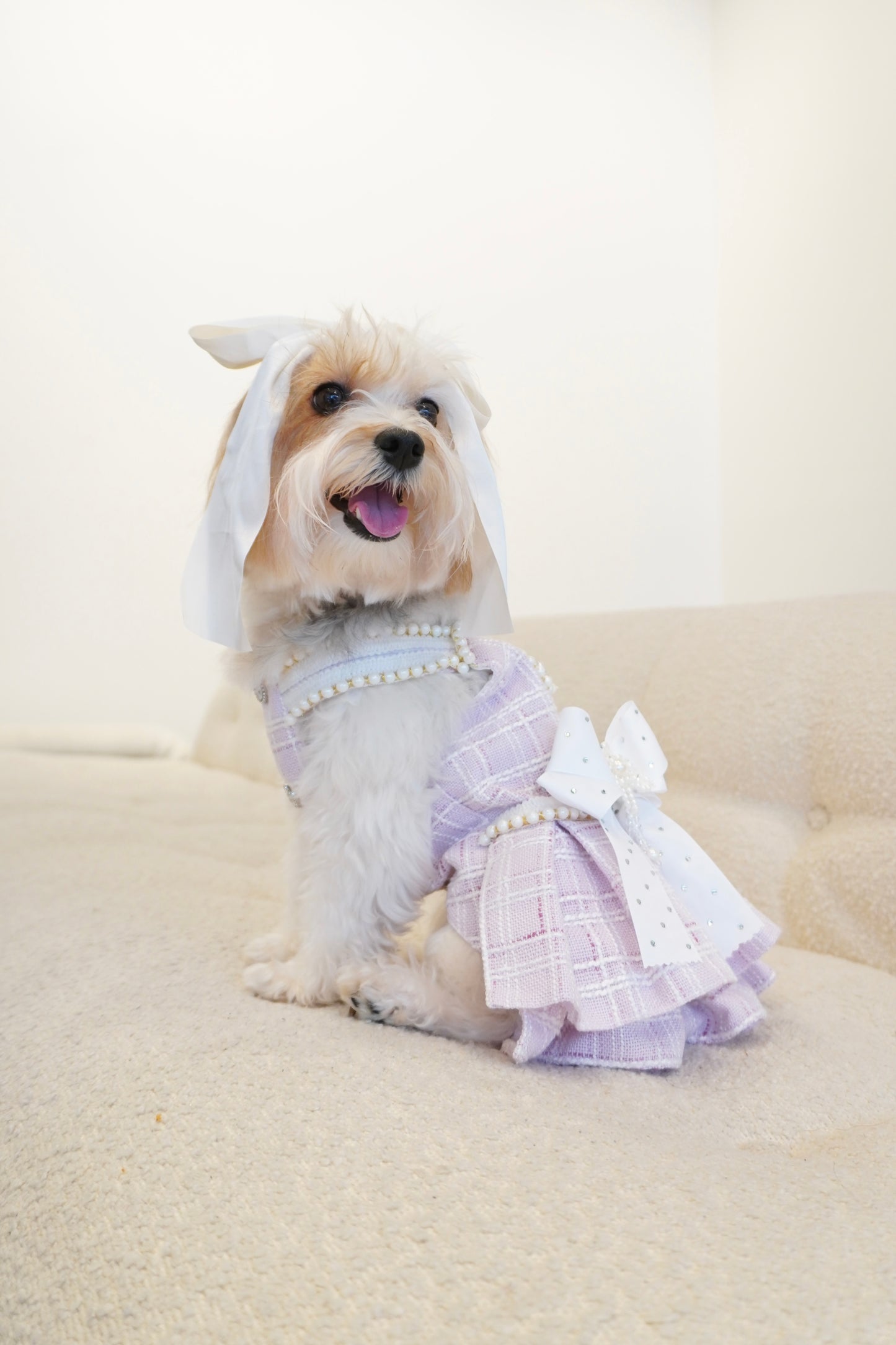 Spring Fling Queen Dress – Gossip Lilac Tweed Dog Dress