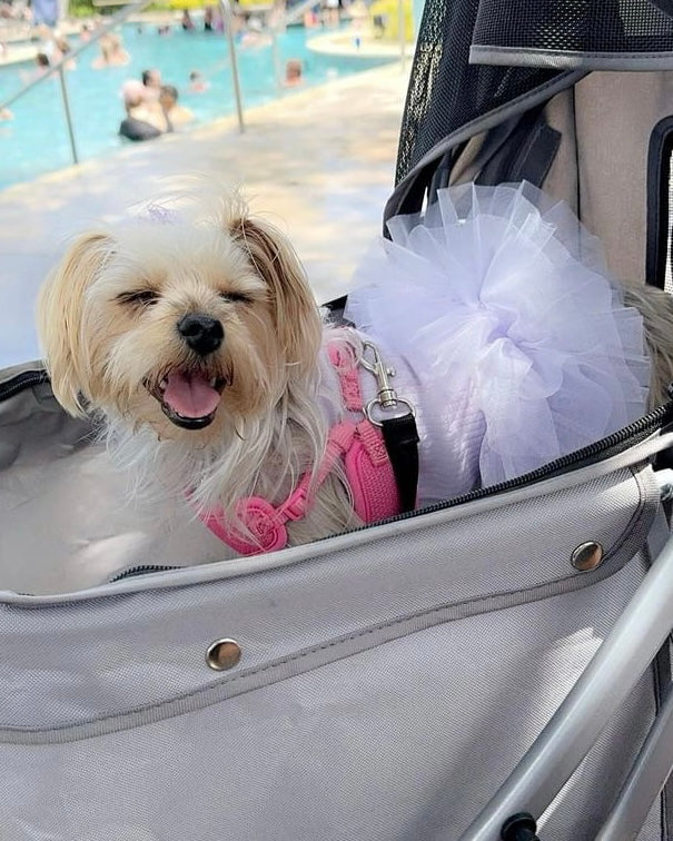The Pixie Dress – Stretchy Tutu Dog Dress