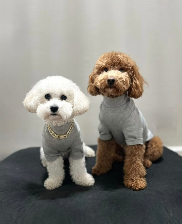 The Basics Turtleneck – Soft & Stretchy Everyday Dog Top