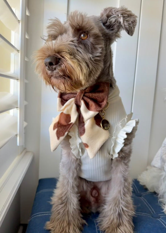 Stylish Frill Dog Top