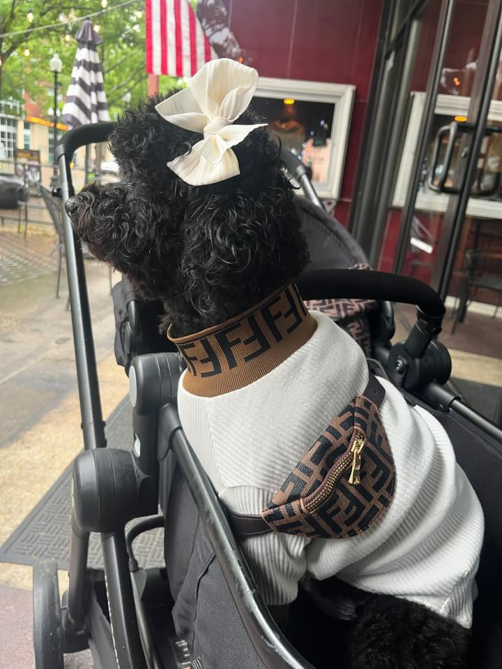 Lux Fetchi Turtle Neck