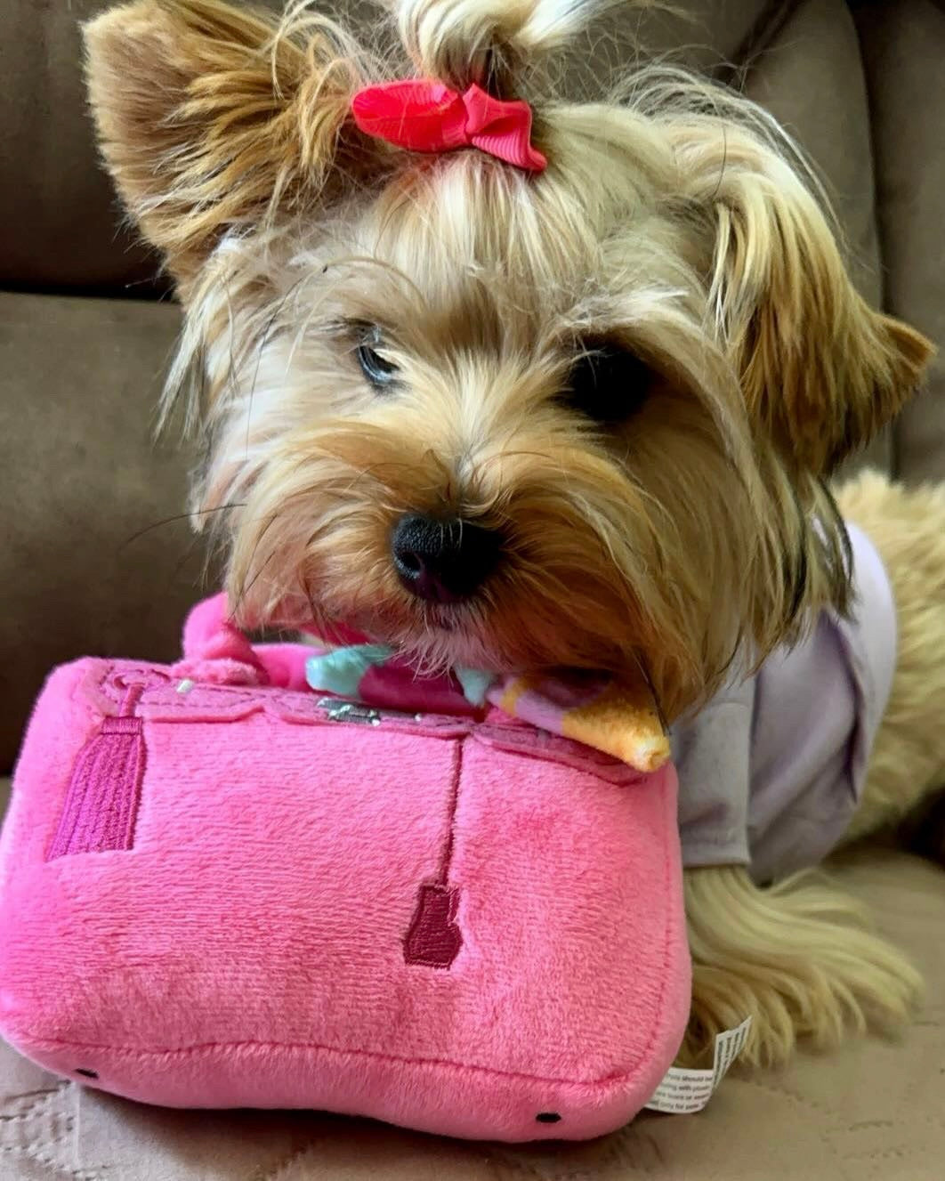 Barkin Pink Hairmess Bag Dog Toy