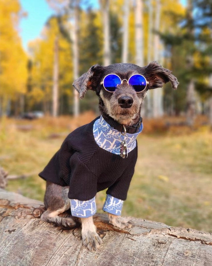 Lux Dogior Turtle Neck
