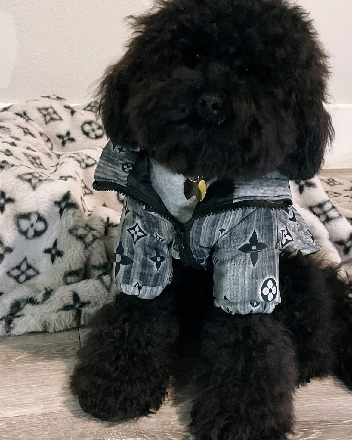 Stylish High-Neck Dog Jacket