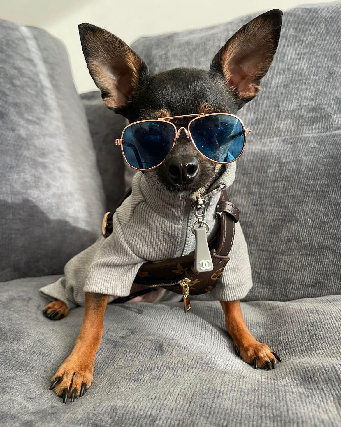 Furry Vuiton Mini Pup Bumbag