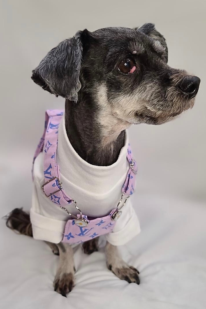 The Basics Turtleneck – Soft & Stretchy Everyday Dog Top