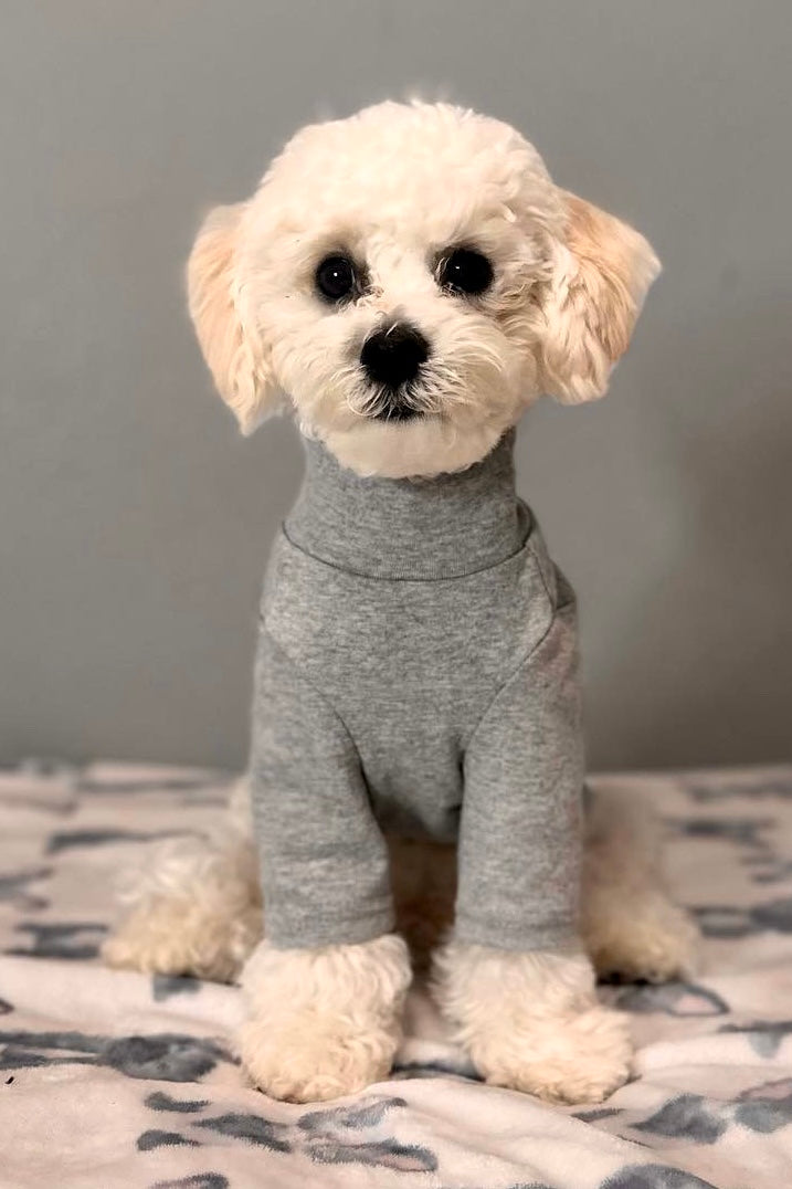 The Basics Turtleneck – Soft & Stretchy Everyday Dog Top