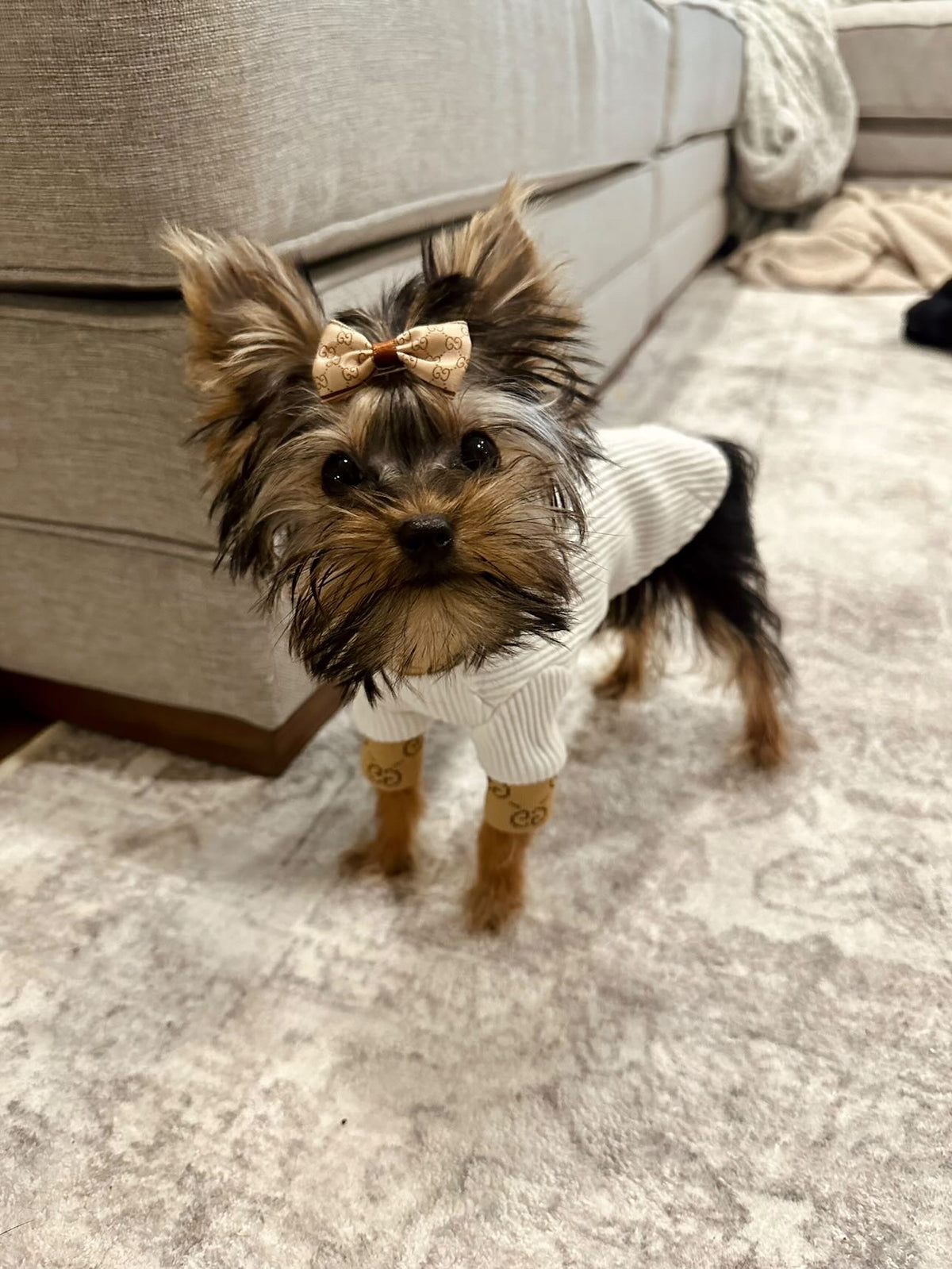 Lux GRRRCI Turtle Neck