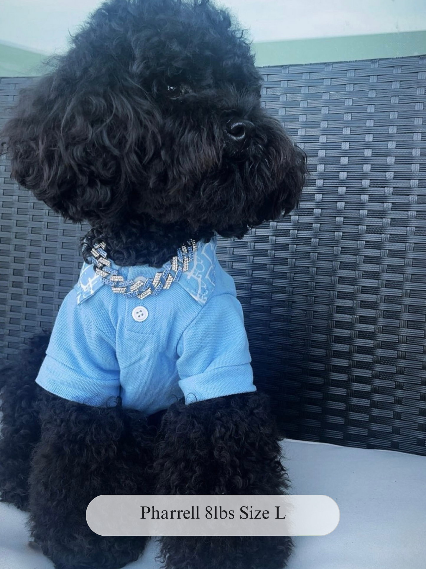 Dogior Collar Top