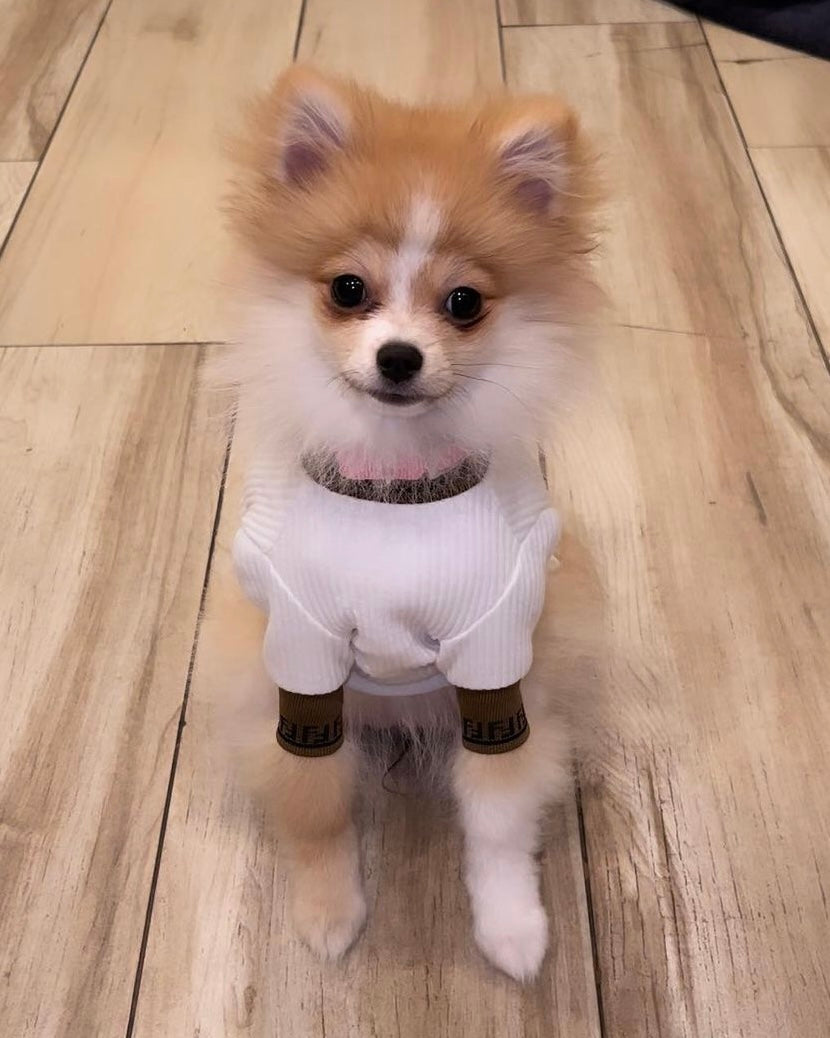 Lux Fetchi Turtle Neck