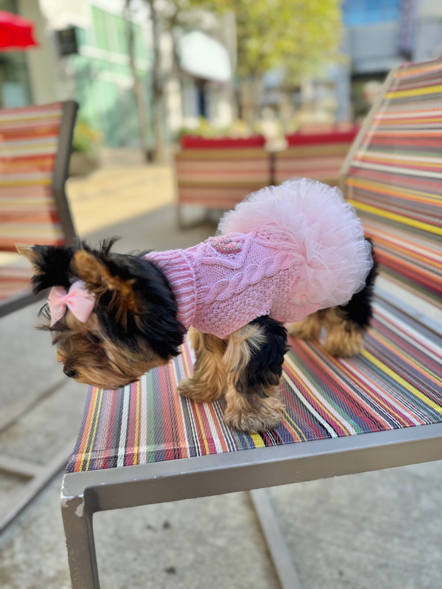 The Camille Cable Knit Dog Dress