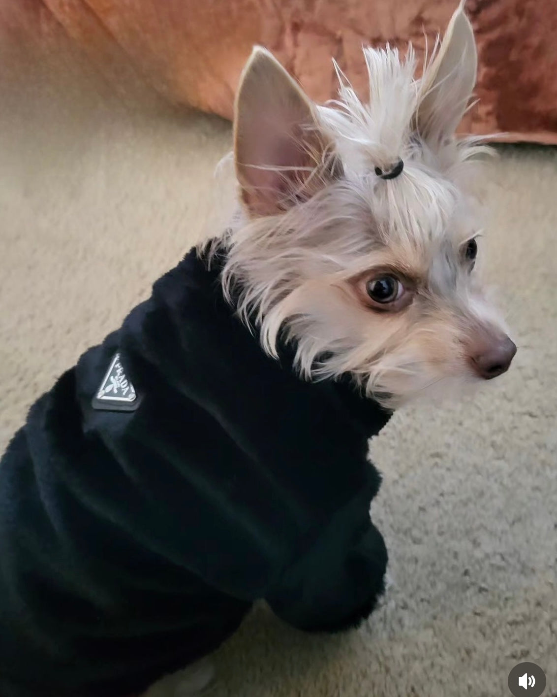 Luxurious Fur Coat