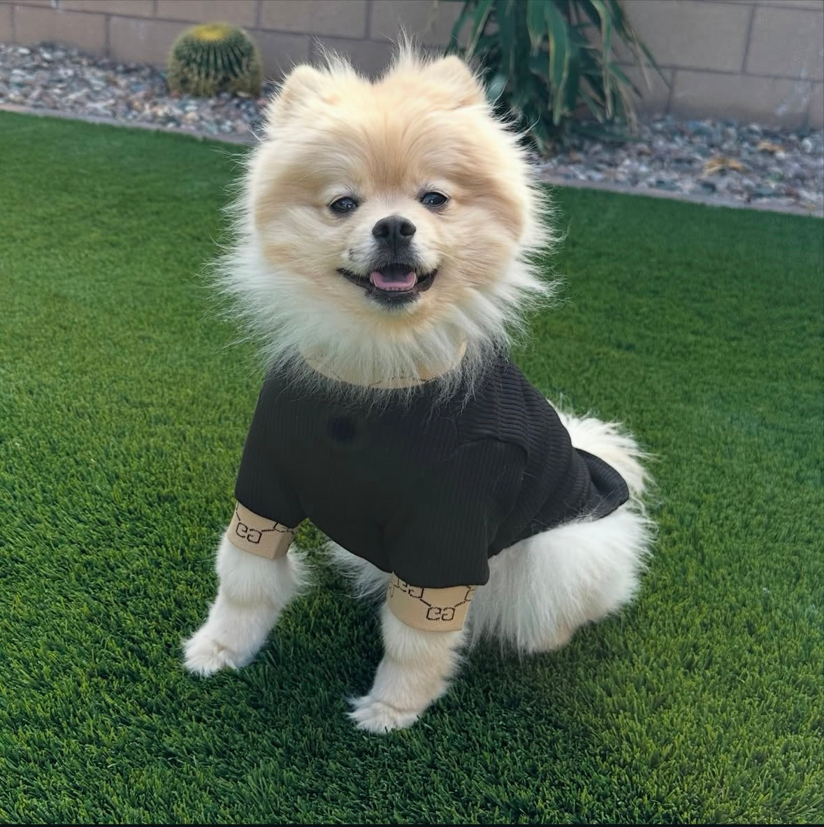 Lux GRRRCI Turtle Neck