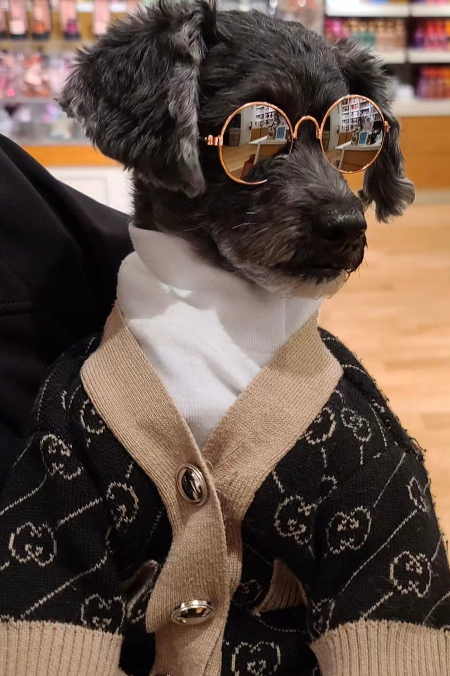 The Basics Turtleneck – Soft & Stretchy Everyday Dog Top