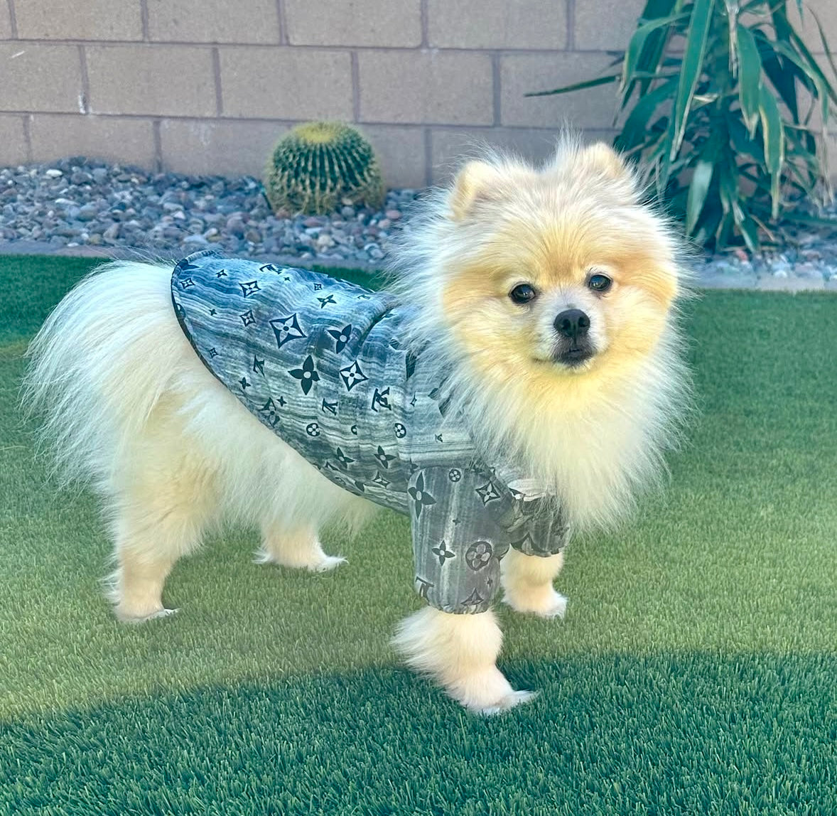 Stylish High-Neck Dog Jacket