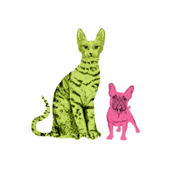 The Pawster logo