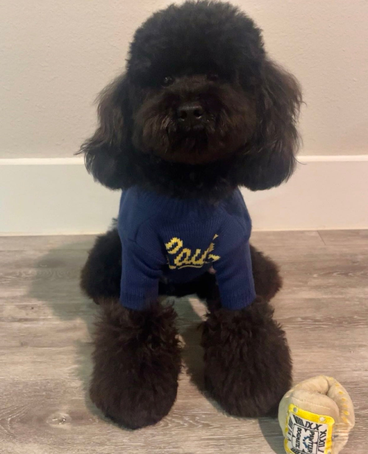 Furry Vuiton Sweater
