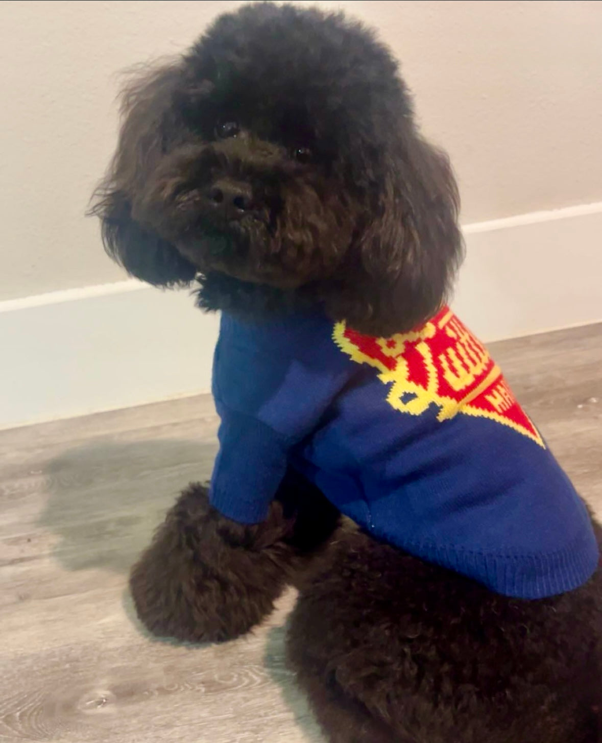 Furry Vuiton Sweater