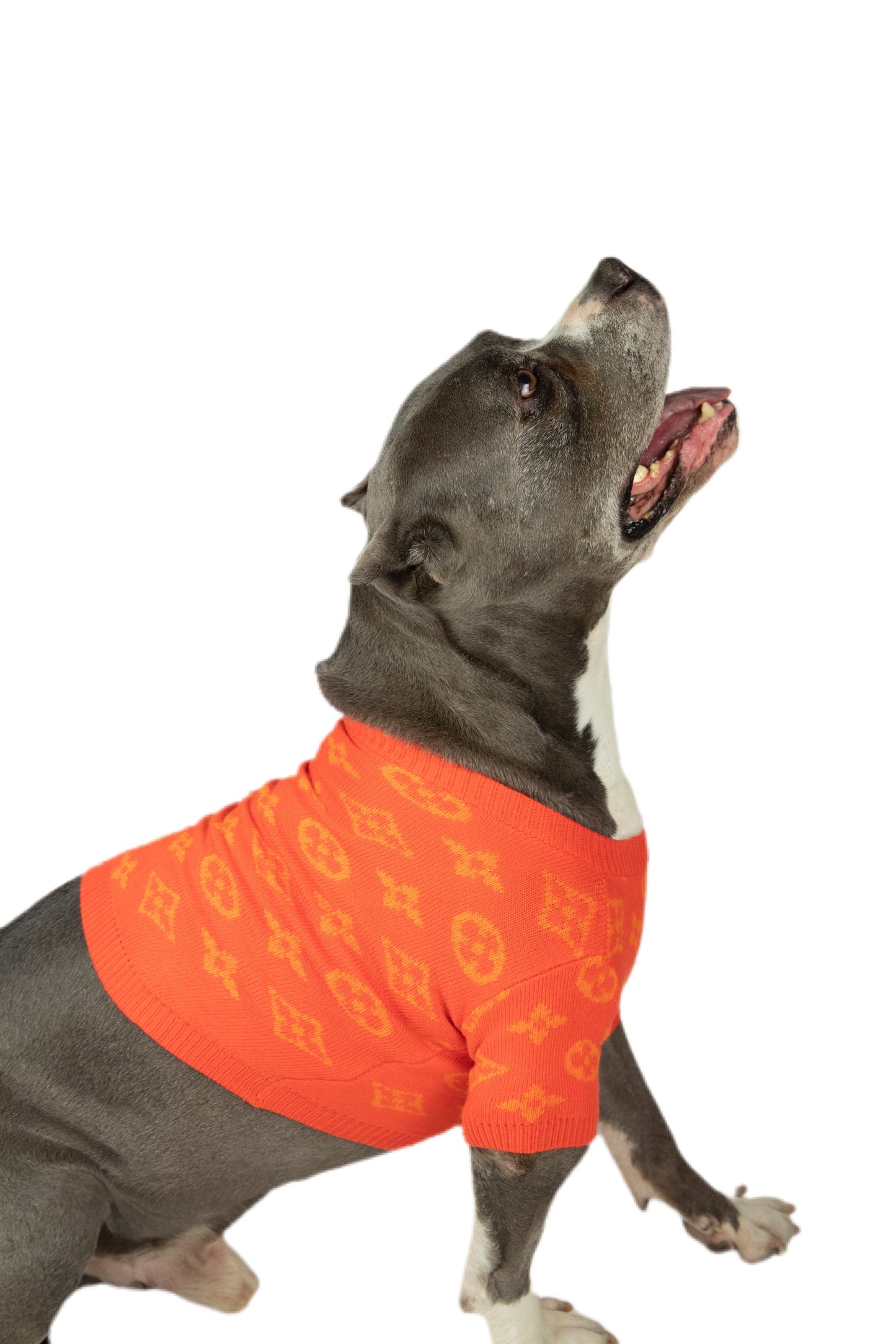 Furry Vuitton Sweater