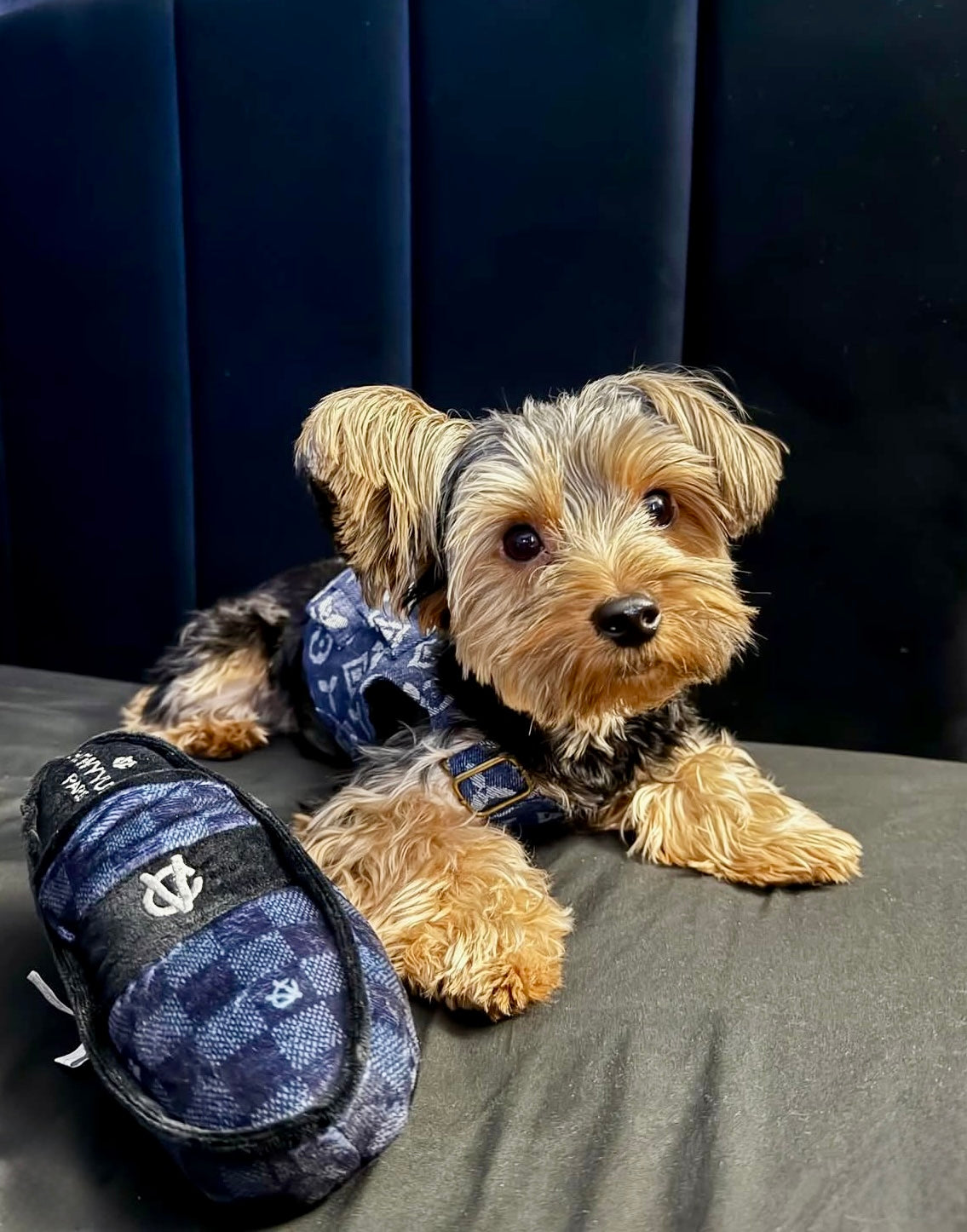 Furry Vuiton Fishermens Vest