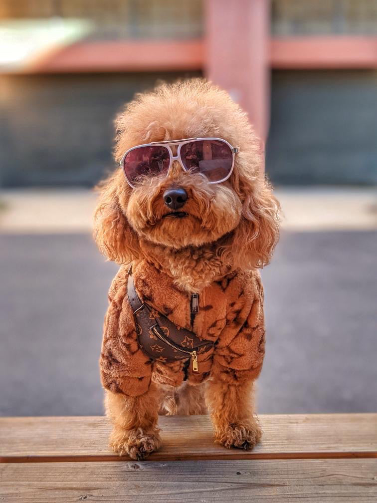Furry Vuiton Bumbag