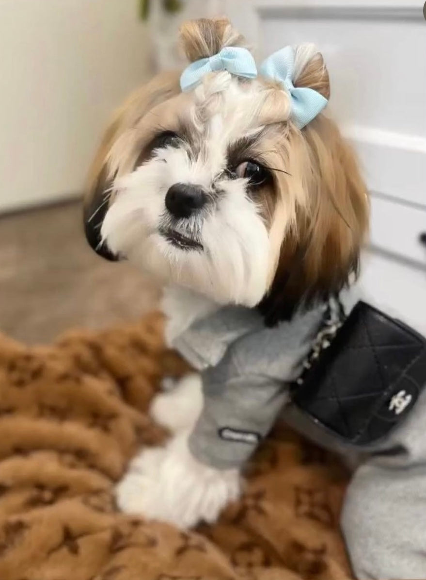Chewnel Boy Bag