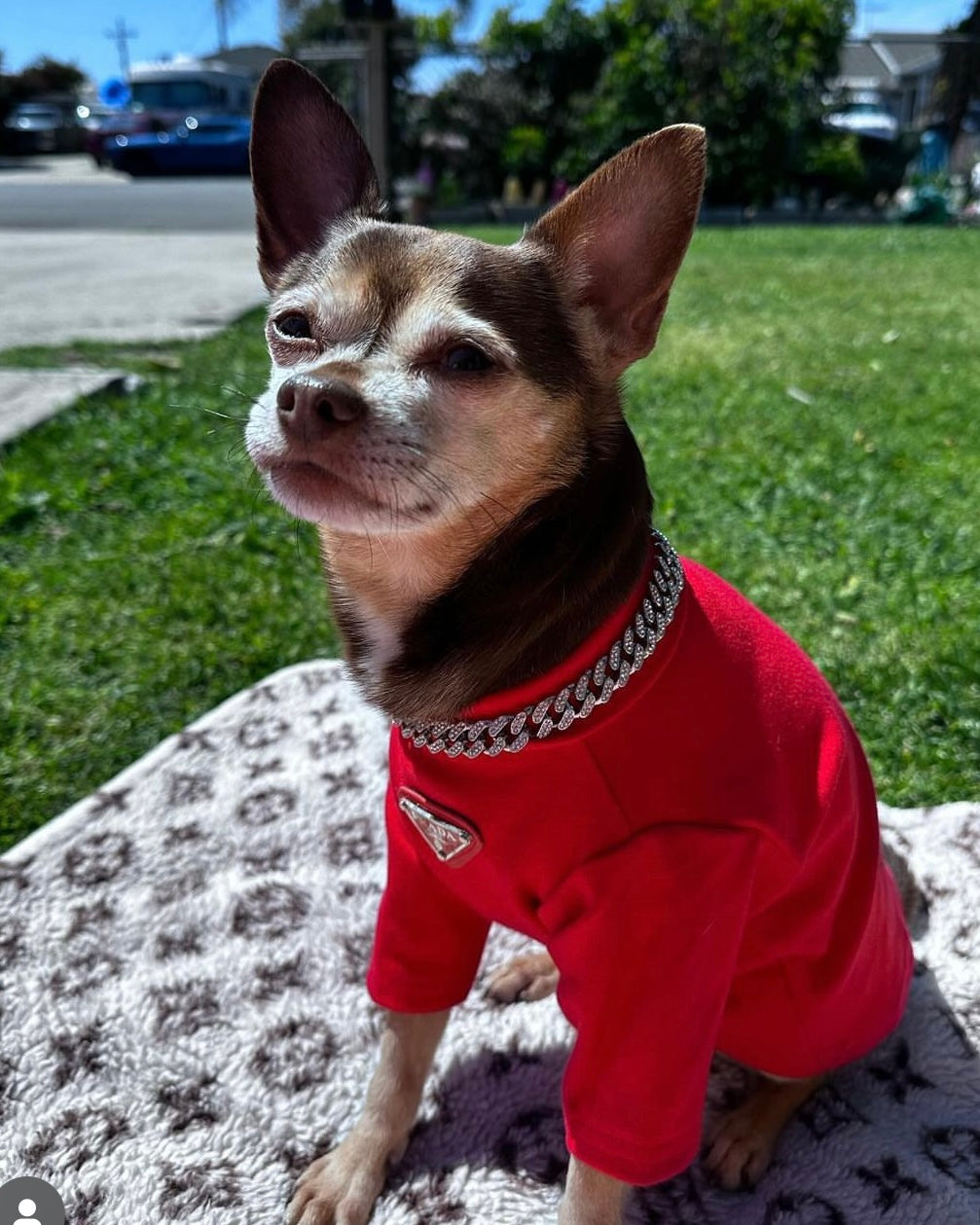 Pawda Lux Turtle Neck