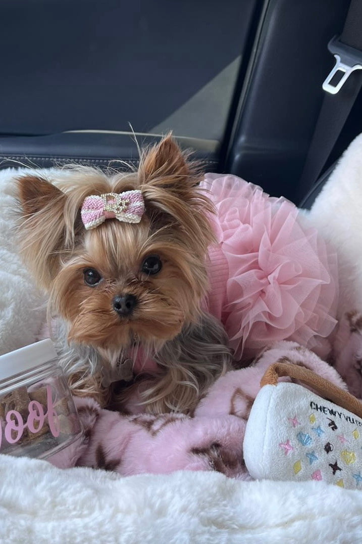 The Pixie Dress – Stretchy Tutu Dog Dress