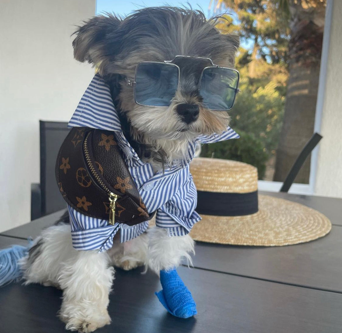 Furry Vuiton Mini Pup Bumbag