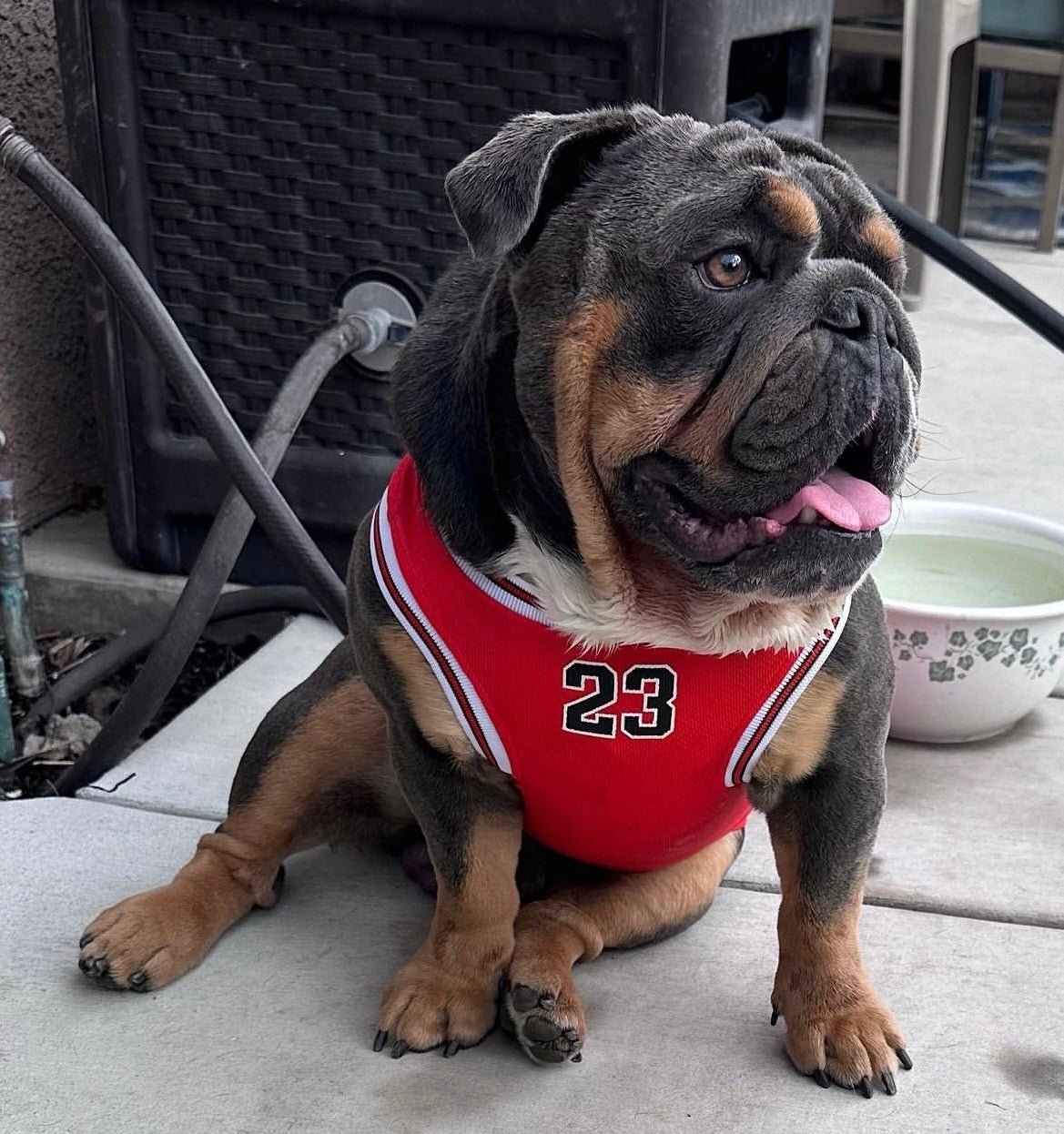 Game Time Jersey