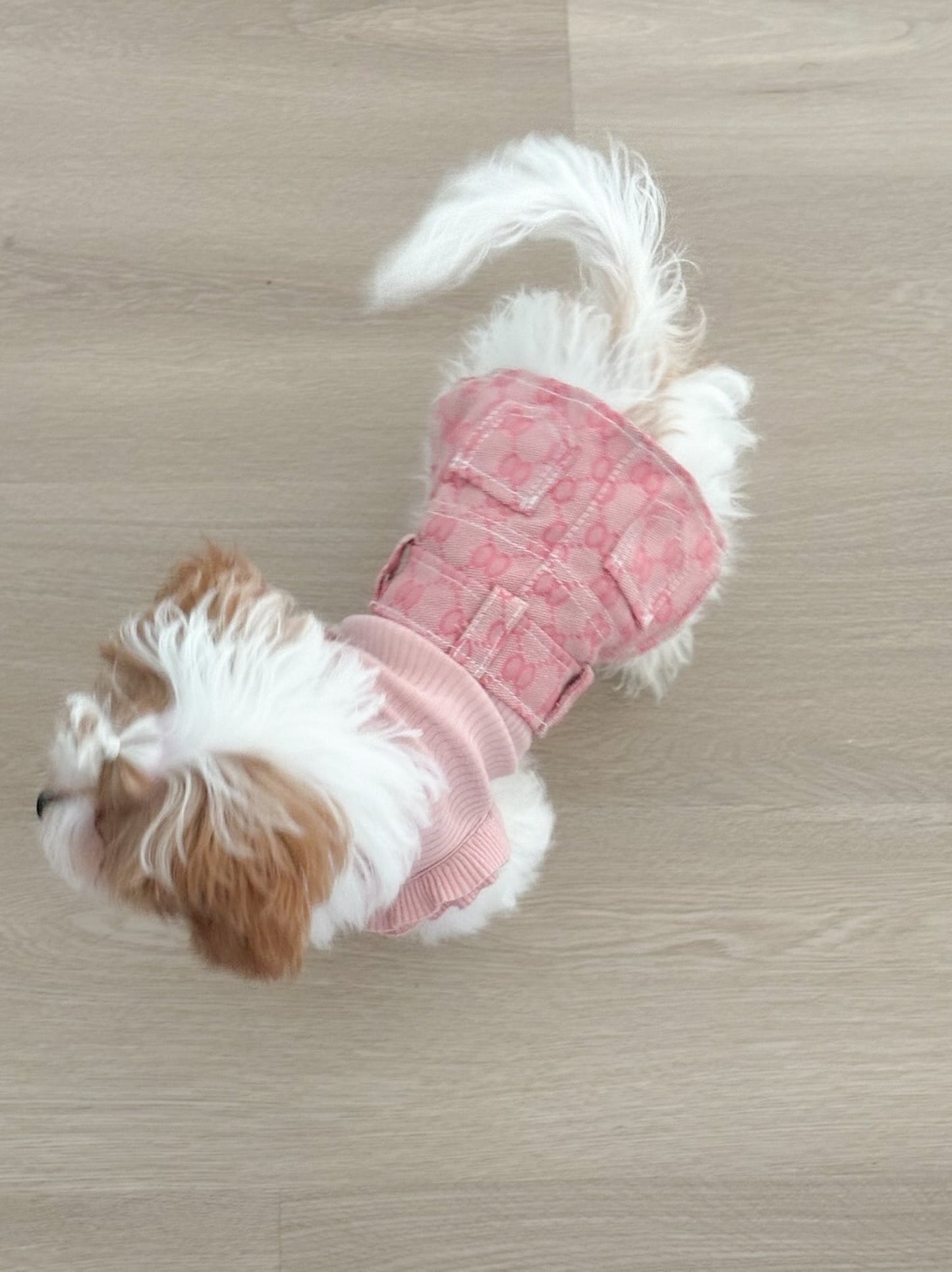 Stylish Frill Dog Top