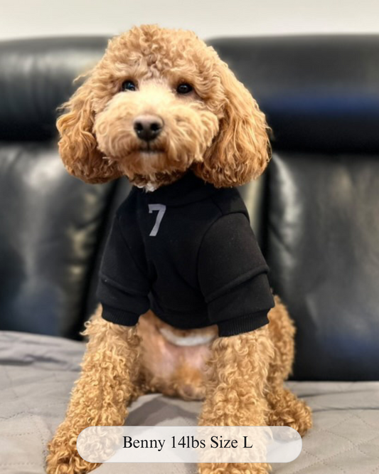 Fearless of Dog Hoodie