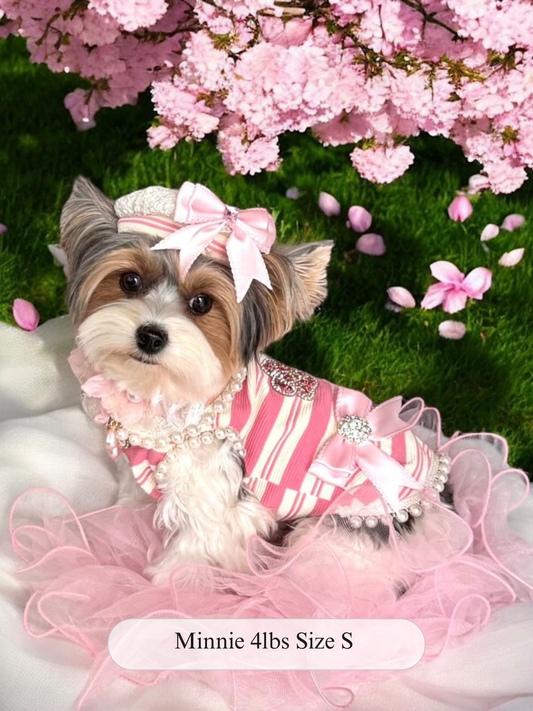 Pink Belle Dress Set