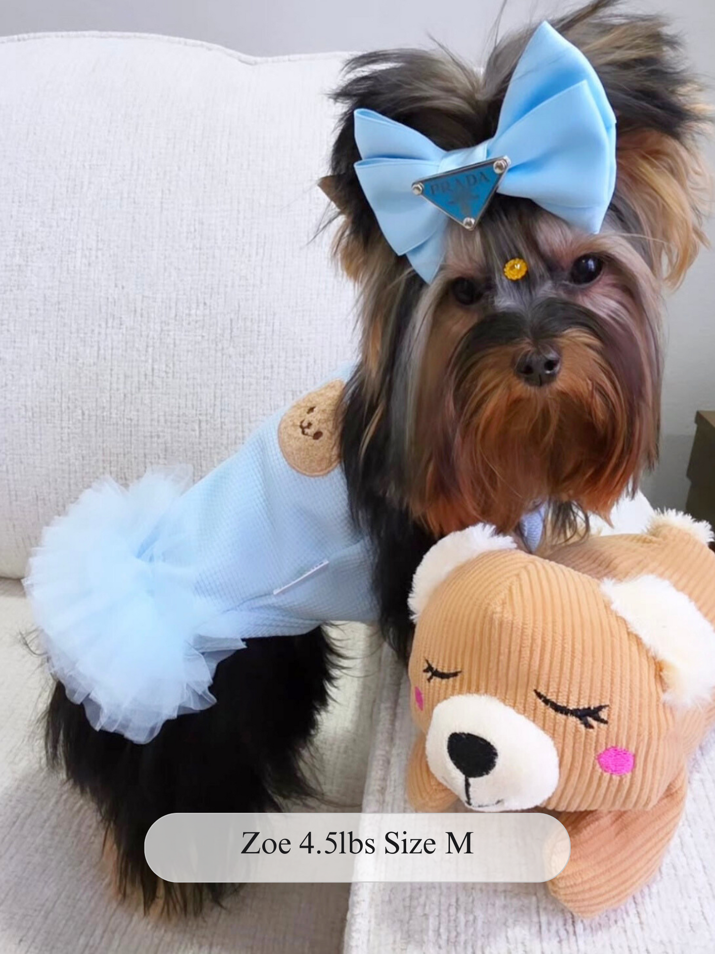 Cuddles & Tulle Dress