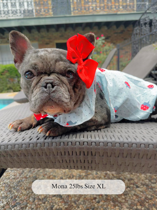 Polka Pup Dress + Bow – Strawberry Print Dog Dress with Ruffle Sleeves