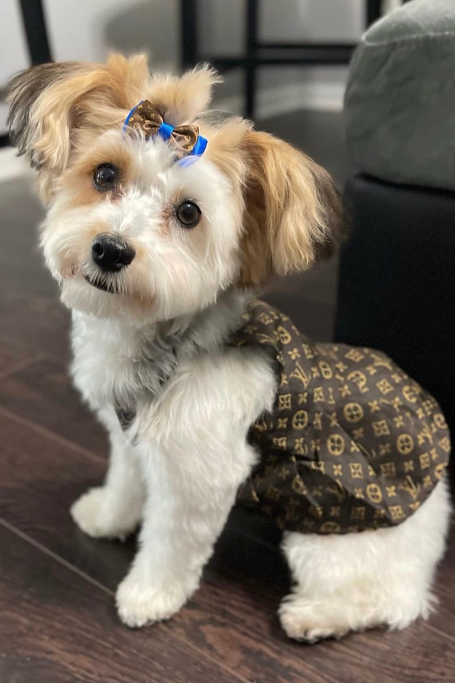 Furry Vuitton Dress – The Pawster