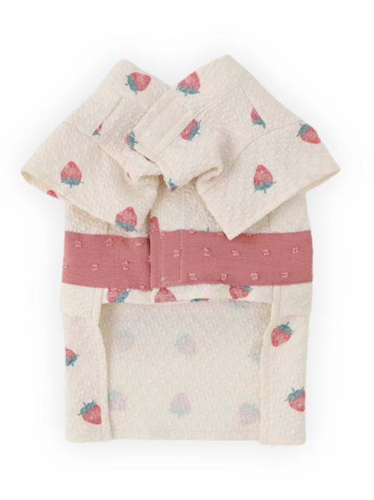 Back view of cream dog dress with strawberry print and velcro closure