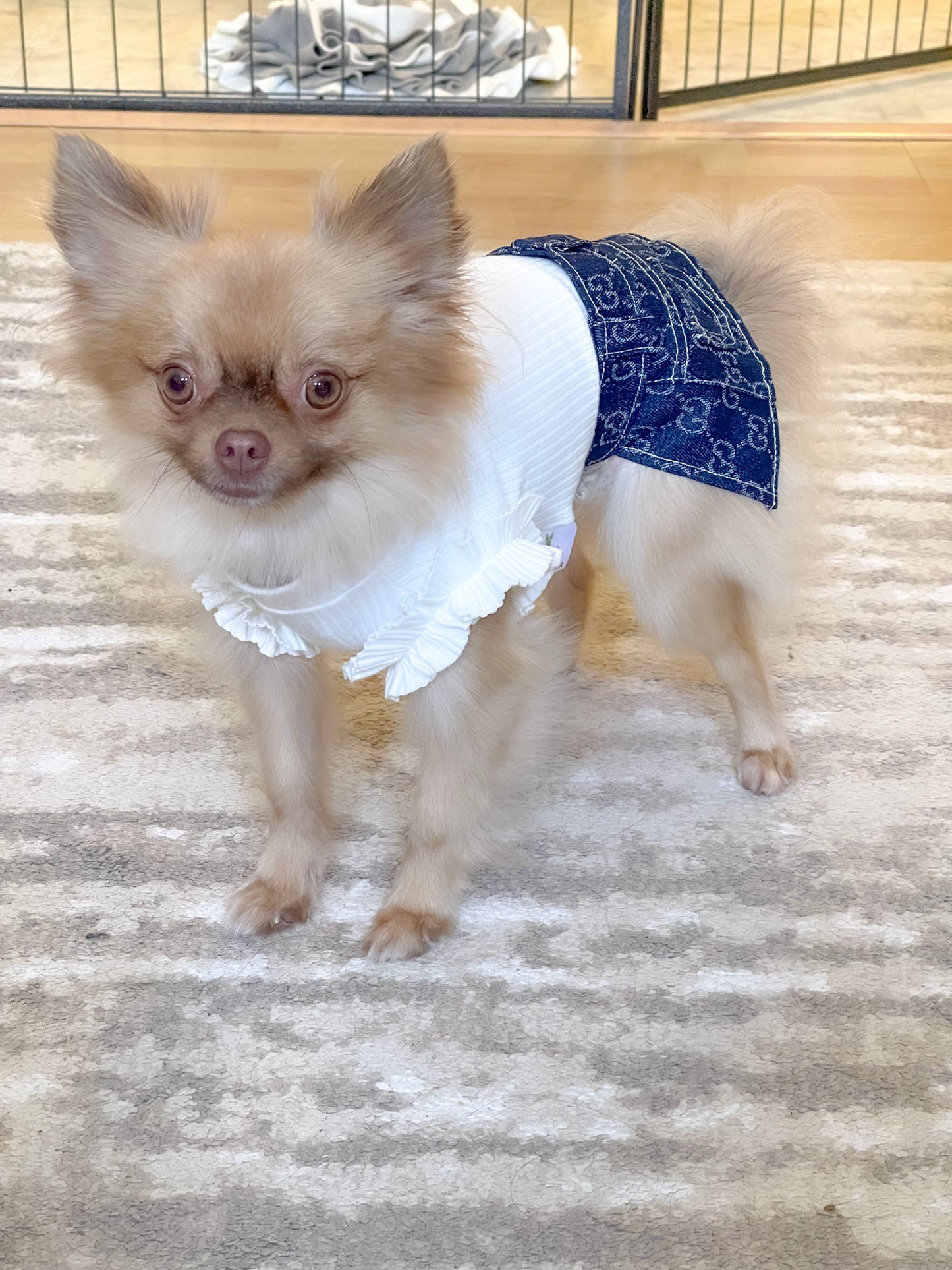 Stylish Frill Dog Top