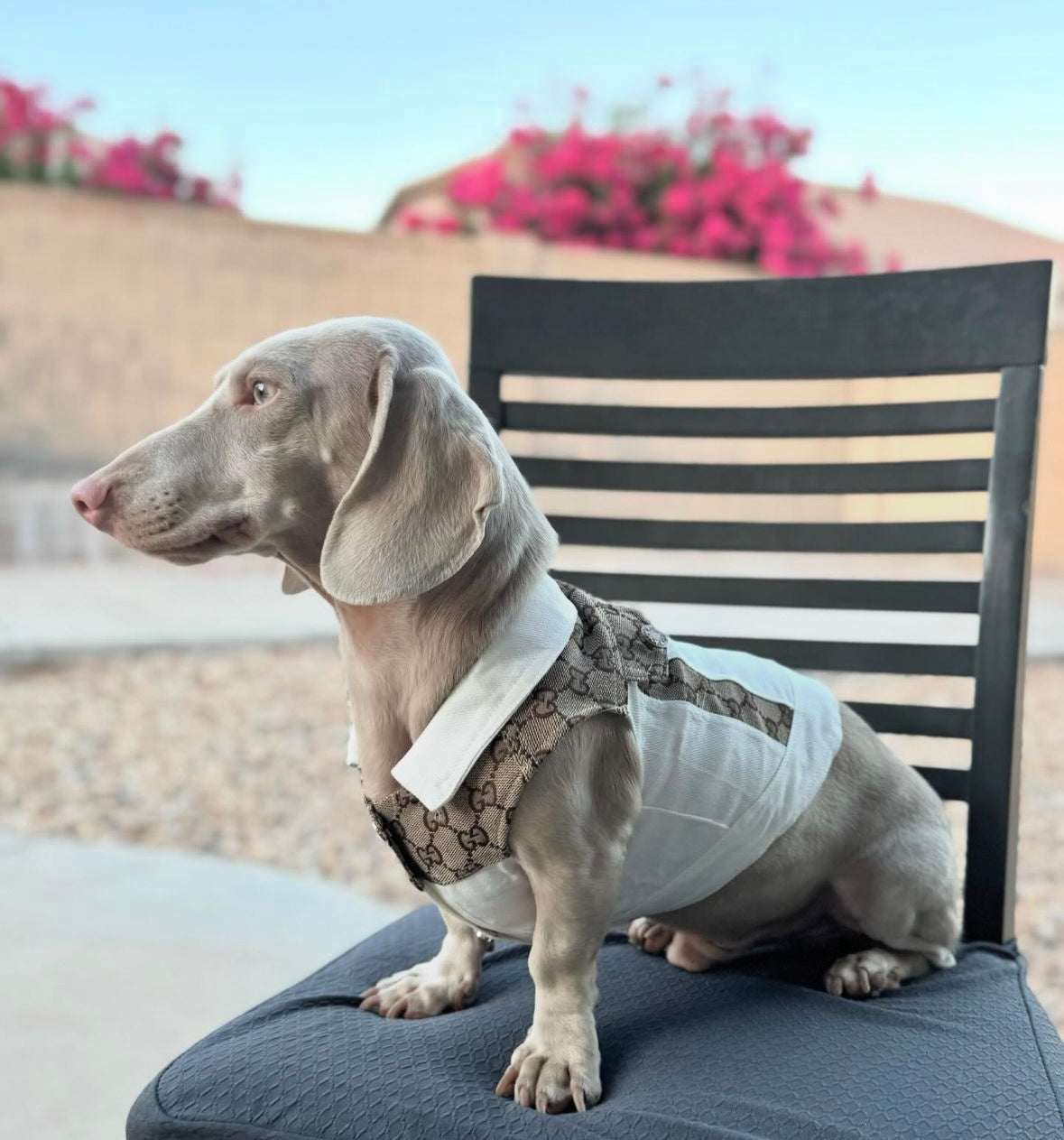 Grrrci Denim Vest