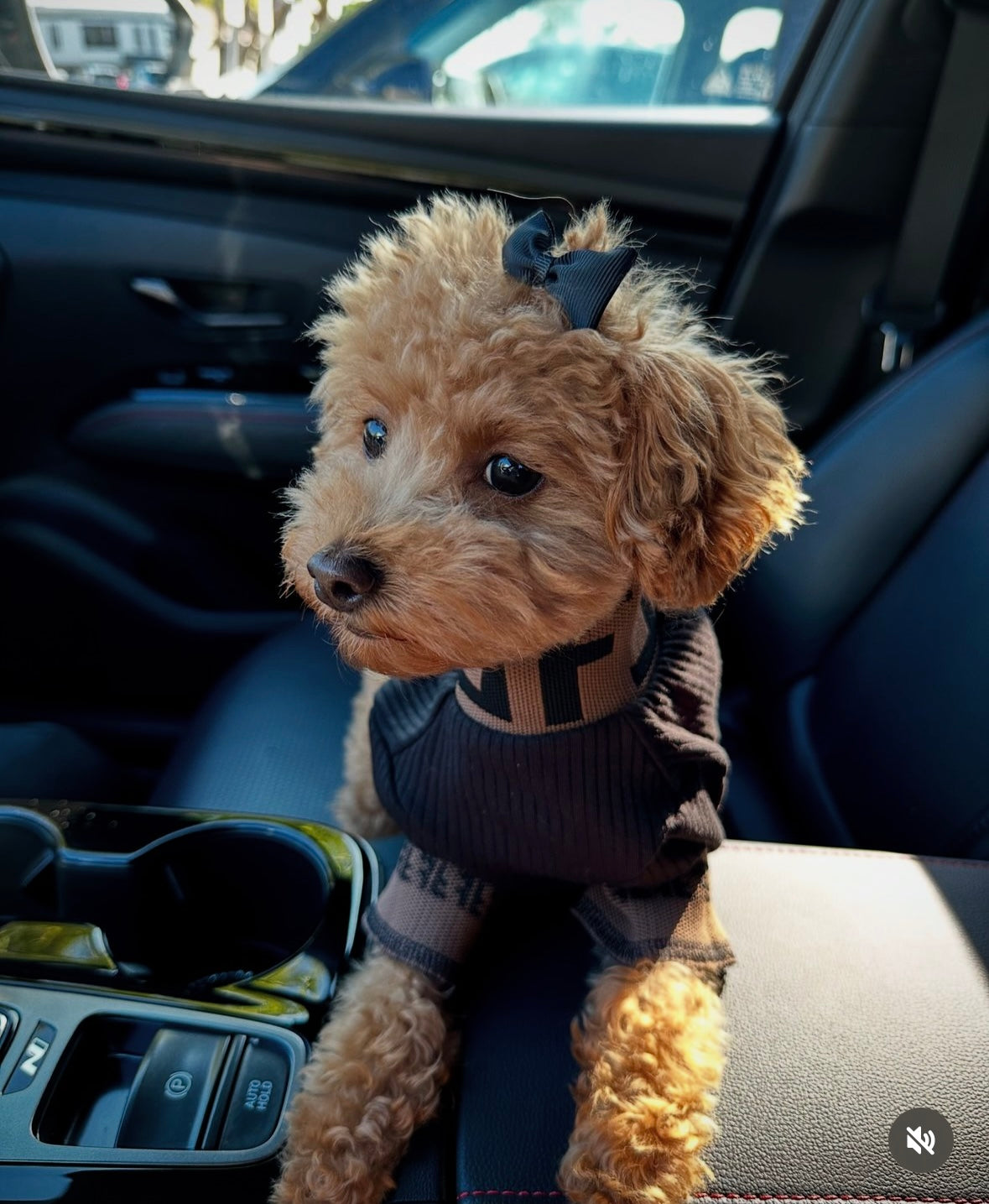 Lux Fetchi Turtle Neck