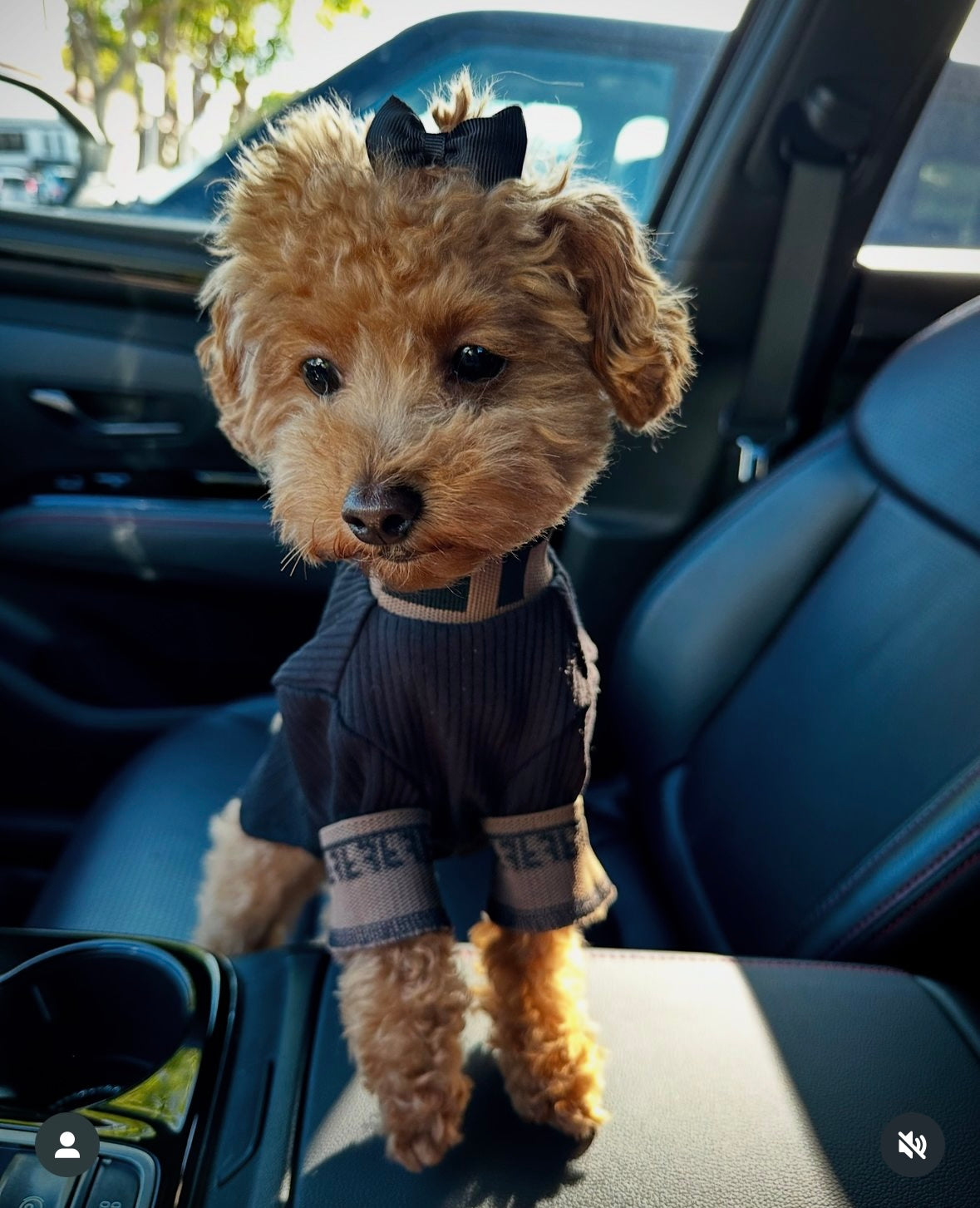Lux Fetchi Turtle Neck
