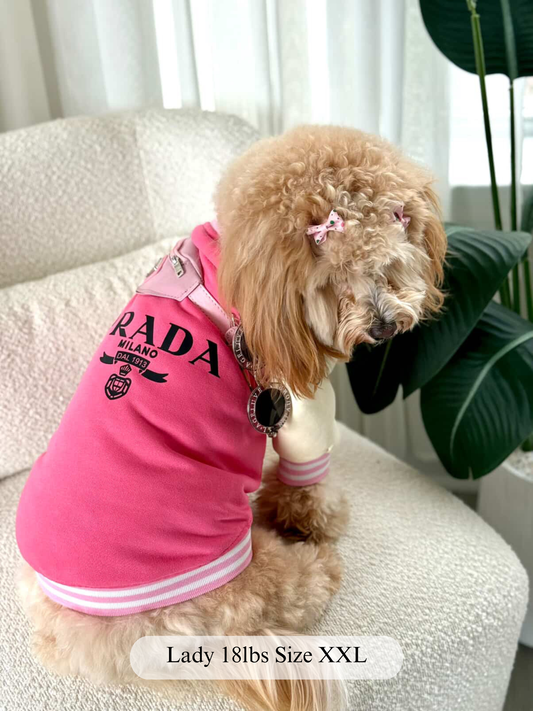 Pawda Varsity Jacket