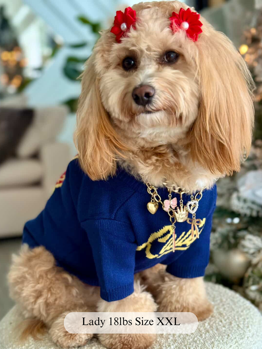 Furry Vuiton Sweater