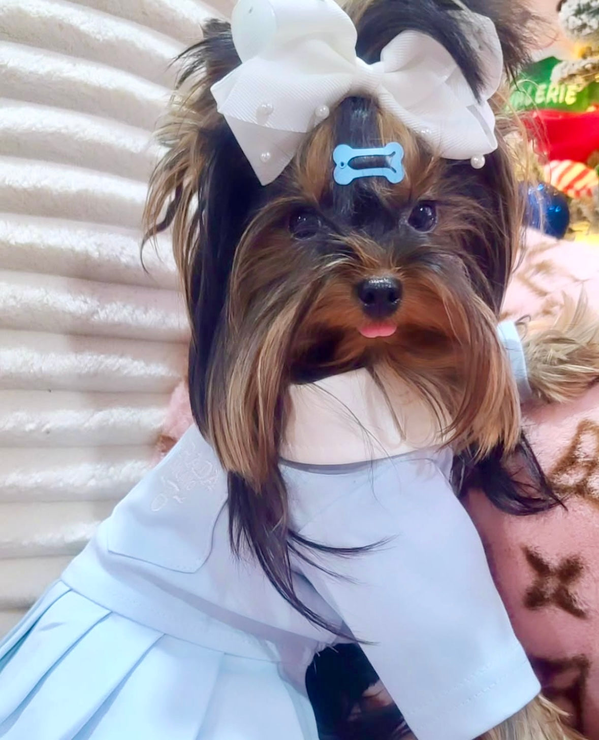 Preppy Pawda Dress