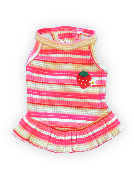Small dog wearing pink and white striped halter dress with embroidered strawberry and ruffle trim