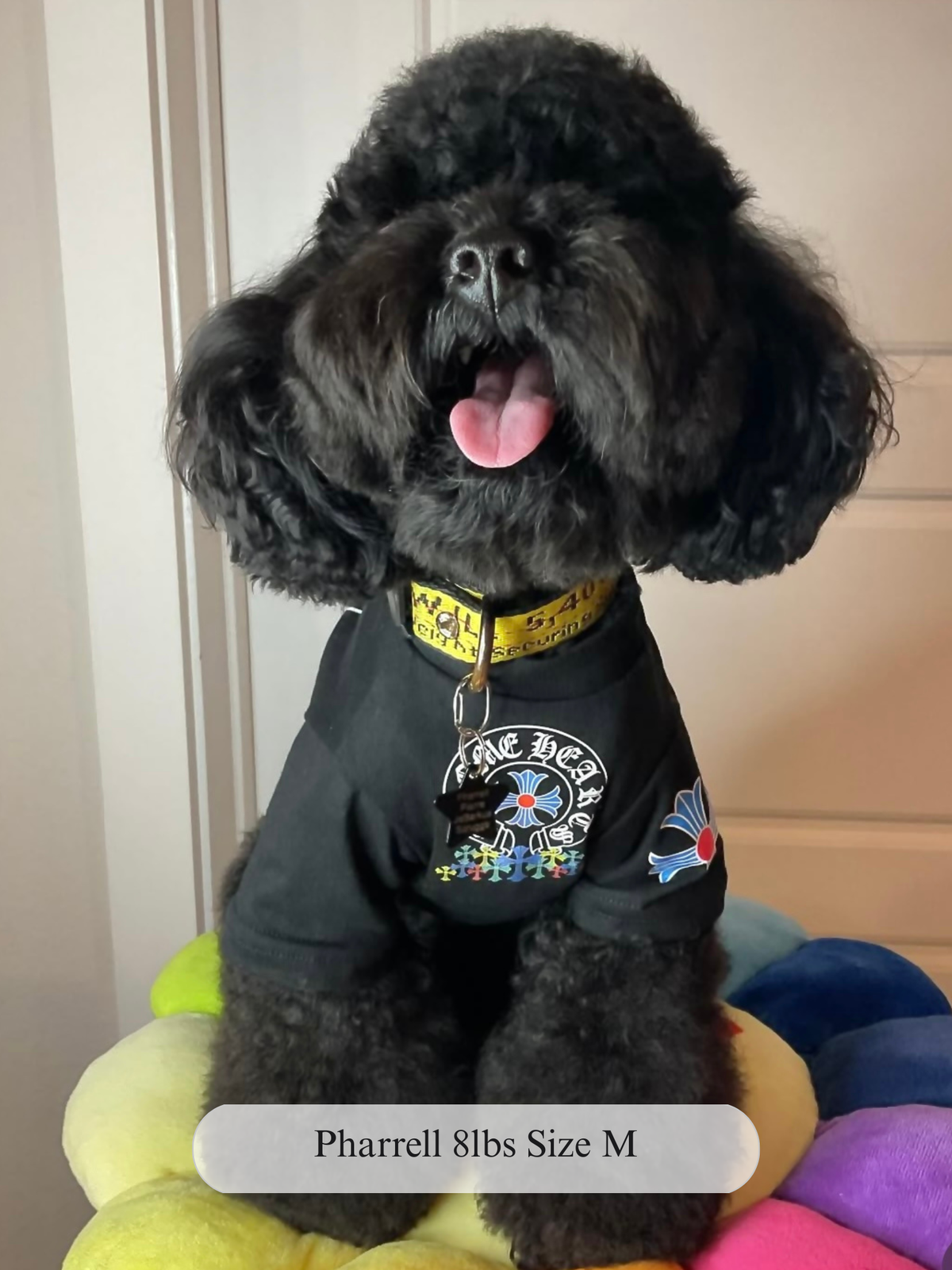 Paws of Hearts Tee
